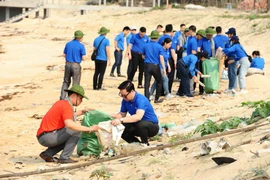 Thanh niên làm sạch bờ biển. (Ảnh: Minh Đức/TTXVN) 