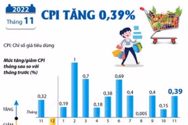 [Infographics] Chỉ số giá tiêu dùng tháng 11 năm 2022 tăng 0,39%