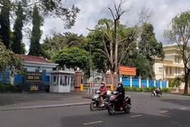 Miễn nhiệm chức vụ với ba Phó Chủ tịch Ủy ban Nhân dân tỉnh Gia Lai