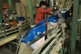 Đóng gói sản phẩm gạo xuất khẩu của Công ty TNHH Gạo Vinh Phát ở phường Thới Thuận, quận Thốt Nốt, thành phố Cần Thơ. (Ảnh: Vũ Sinh/TTXVN)