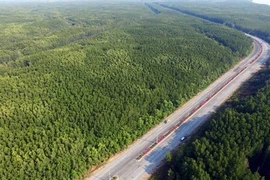 Những cánh rừng bạt ngàn xanh ngút tầm mắt dọc tuyến đường huyết mạch Rừng Sác-Cần Giờ. (Ảnh: Mạnh Linh/TTXVN) 