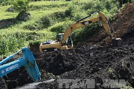 Ảnh minh họa. (Nguồn: THX/TTXVN)