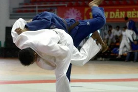 Ảnh minh họa. (Nguồn: Duy Khương/TTXVN)