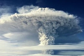 Ảnh minh họa. (Nguồn: Internet)