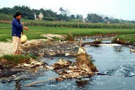 Ảnh minh họa. (Nguồn: Tuyengiao.vn)
