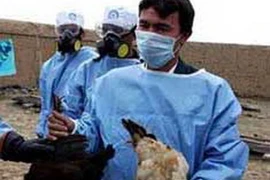 Ảnh minh họa. (Nguồn: healthcareasia.org)