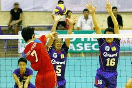 Ảnh minh họa. (Nguồn: Dương Thu/TTXVN)