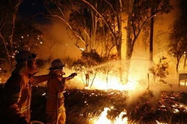 Ảnh minh họa. (Nguồn: Reuters)