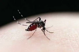 Ảnh minh họa. (Nguồn: yourhealth.asiaone.com)