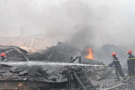 Ảnh minh họa. (Nguồn: Mạnh Linh/TTXVN)