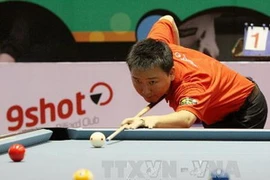 Ảnh minh họa. (Nguồn: Ngọc Trương/TTXVN)