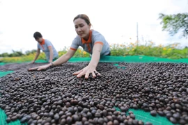 Kinh tế Việt Nam vẫn phục hồi mạnh mẽ bất chấp bất ổn toàn cầu