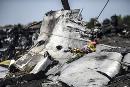 Xác máy bay MH17 của Hãng hàng không Malaysia Airlines bị bắn rơi gần làng Grabove, cách Donetsk, miền Đông Ukraine khoảng 80km, tháng 9/2014. (Ảnh: AFP/TTXVN)