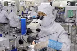 Một doanh nghiệp FDI ở Bắc Giang. (Ảnh: Đồng Thúy/TTXVN)