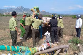 Sau khi gây án, nhóm đối tượng bỏ tang vật lại hiện trường. (Ảnh: TTXVN phát)