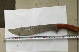 Hung khí các đối tượng dùng chém đứt tay nạn nhân. Ảnh: TTXVN phát)