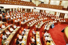 Các đại biểu dự Hội nghị toàn quốc tổng kết 10 năm công tác đấu tranh phòng, chống tham nhũng, tiêu cực. (Ảnh: Trí Dũng/TTXVN)