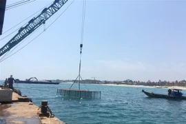 Phương tiện cơ giới thi công đê ngầm chống sạt lở khẩn cấp bờ biển Cửa Đại. (Ảnh: Đoàn Hữu Trung/TTXVN)