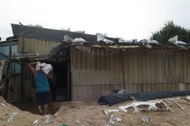 Người dân gia cố nhà cửa chống bão. (Ảnh: Tường Quân/TTXVN)