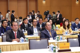 Các kiều bào về dự chương trình Xuân Quê hương. (Ảnh: Dương Giang/TTXVN)