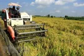 Thu hoạch lúa tại một địa phương ở Việt Nam. (Nguồn: TTXVN)