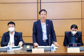 Đại biểu Quốc hội tỉnh Đắk Nông Nguyễn Trường Giang phát biểu ý kiến. (Ảnh: Doãn Tấn/TTXVN)