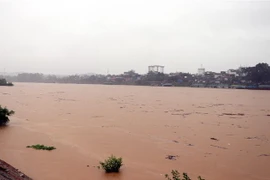 Sông Lô đoạn qua địa phận thành phố Tuyên Quang. (Ảnh minh họa. Nguồn: TTXVN)