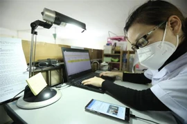 Nhập thông tin về bệnh nhân COVID-19. (Ảnh minh họa. Nguồn: TTXVN)