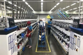 Hoạt động của một doanh nghiệp tại Khu công nghiệp Việt Nam-Singapore 2, thành phố Thủ Dầu Một, tỉnh Bình Dương. (Nguồn: TTXVN)