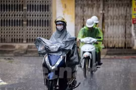 Ảnh minh họa. (Nguồn: Vietnam+)