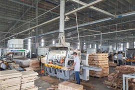 Lao động tại một doanh nghiệp ở Bình Dương. (Nguồn: TTXVN)