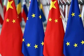 Ảnh minh họa. (Nguồn: aa.com.tr)