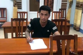 Đối tượng Lưu Việt Hoàng. (Ảnh: TTXVN phát)