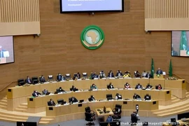 Quang cảnh Hội nghị thượng đỉnh Liên minh châu Phi (AU) tại thủ đô Addis Ababa của Ethiopia. (Nguồn: EPA)