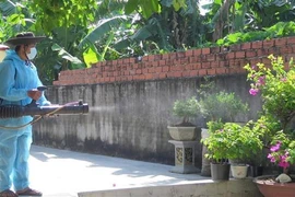 Phun hóa chất xử lý ổ dịch sốt xuất huyết. (Ảnh: Xuân Triệu/TTXVN)