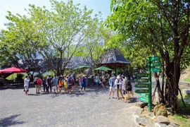 Khu du lịch Công viên suối khoáng nóng Núi Thần Tài ở Đà Nẵng thu hút đông đảo du khách. (Ảnh: TTXVN phát)