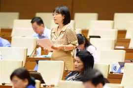 Đại biểu quốc hội tỉnh Hải Dương Nguyễn Thị Việt Nga phát biểu. (Ảnh: Minh Đức/TTXVN)