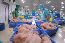 Chế biến cá tra phi lê xuất khẩu. (Ảnh minh họa. Nguồn: TTXVN)