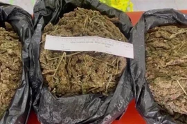  5kg nghi là cần sa khô chuẩn bị được vận chuyển qua biên giới. (Ảnh: TTXVN phát)