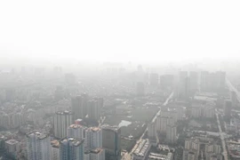 Ảnh minh họa. (Nguồn: TTXVN)