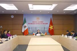 Chủ tịch Quốc hội Vương Đình Huệ hội đàm trực tuyến với Chủ tịch Thượng viện Liên bang Mexico Olga Sanchez Cordero. (Ảnh: Doãn Tấn/TTXVN)