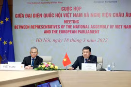 Chủ nhiệm Ủy ban Đối ngoại của Quốc hội Việt Nam Vũ Hải Hà (bên phải) phát biểu. (Ảnh: Phạm Kiên/TTXVN)