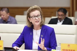 Bà Caitlin Wiesen, Trưởng Đại diện thường trú Chương trình Phát triển Liên hợp quốc (UNDP) tại Việt Nam. (Ảnh: Dương Giang/TTXVN)