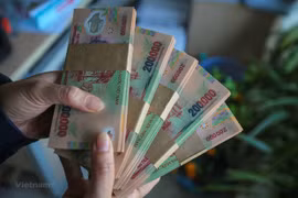 Ảnh minh họa. (Nguồn: Vietnam+)
