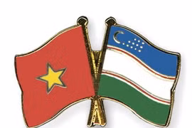 Ảnh minh họa. (Nguồn: crossed-flag-pins.com)