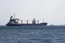 Tàu chở ngũ cốc của Ukraine đi qua Eo biển Bosphorus ở Istanbul, Thổ Nhĩ Kỳ, ngày 3/8/2022. (Ảnh: THX/TTXVN)