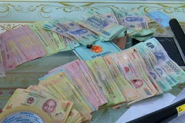 Tang vật bị thu giữ. (Ảnh: Bích Ân/TTXVN phát)