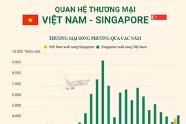 Quan hệ thương mại giữa Việt Nam và Singapore.