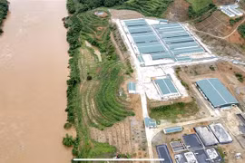 Những chiếc bể chứa chất thải chăn nuôi của trang trại lợn nằm lộ thiên ngay sát bờ sông Hồng. (Ảnh: Tuấn Anh/TTXVN)