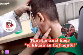 (Nguồn: Vietnam+)